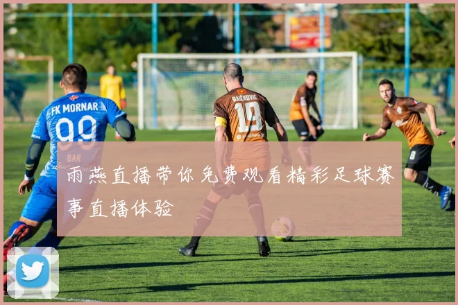 雨燕直播带你免费观看精彩足球赛事直播体验